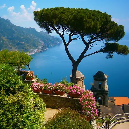 En Rose Ravello